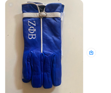 Load image into Gallery viewer, Zeta Phi Beta Gloves