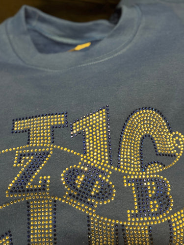 J16 - T-Shirt - with Zeta Phi Beta Insert