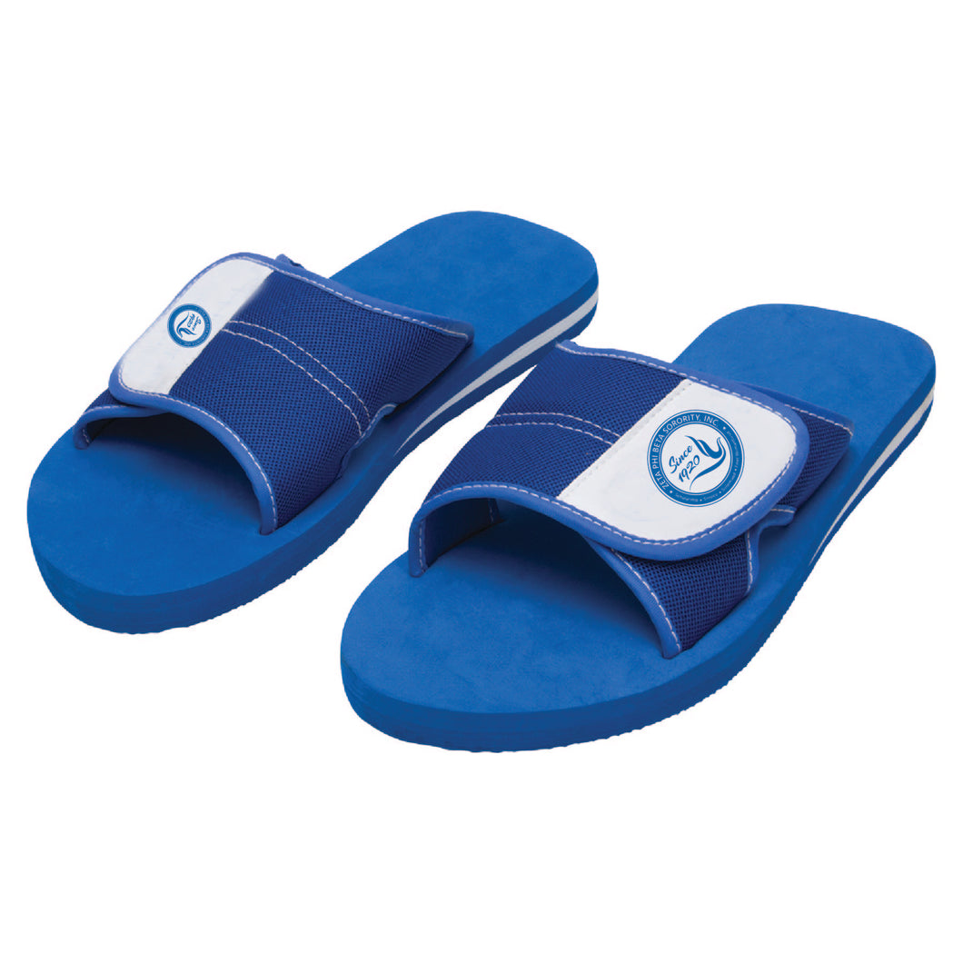 Zeta Phi Beta Slides